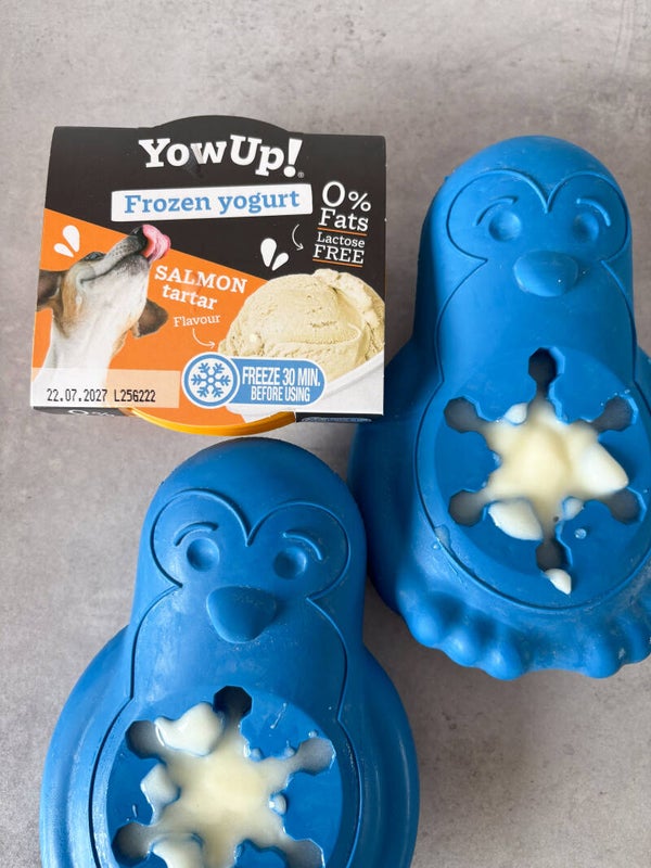 Hondenijs: YowUp! Frozen Yoghurt Salmon Tartar