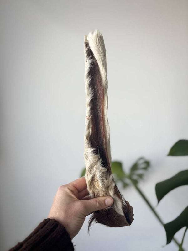 Runderhuid met vacht