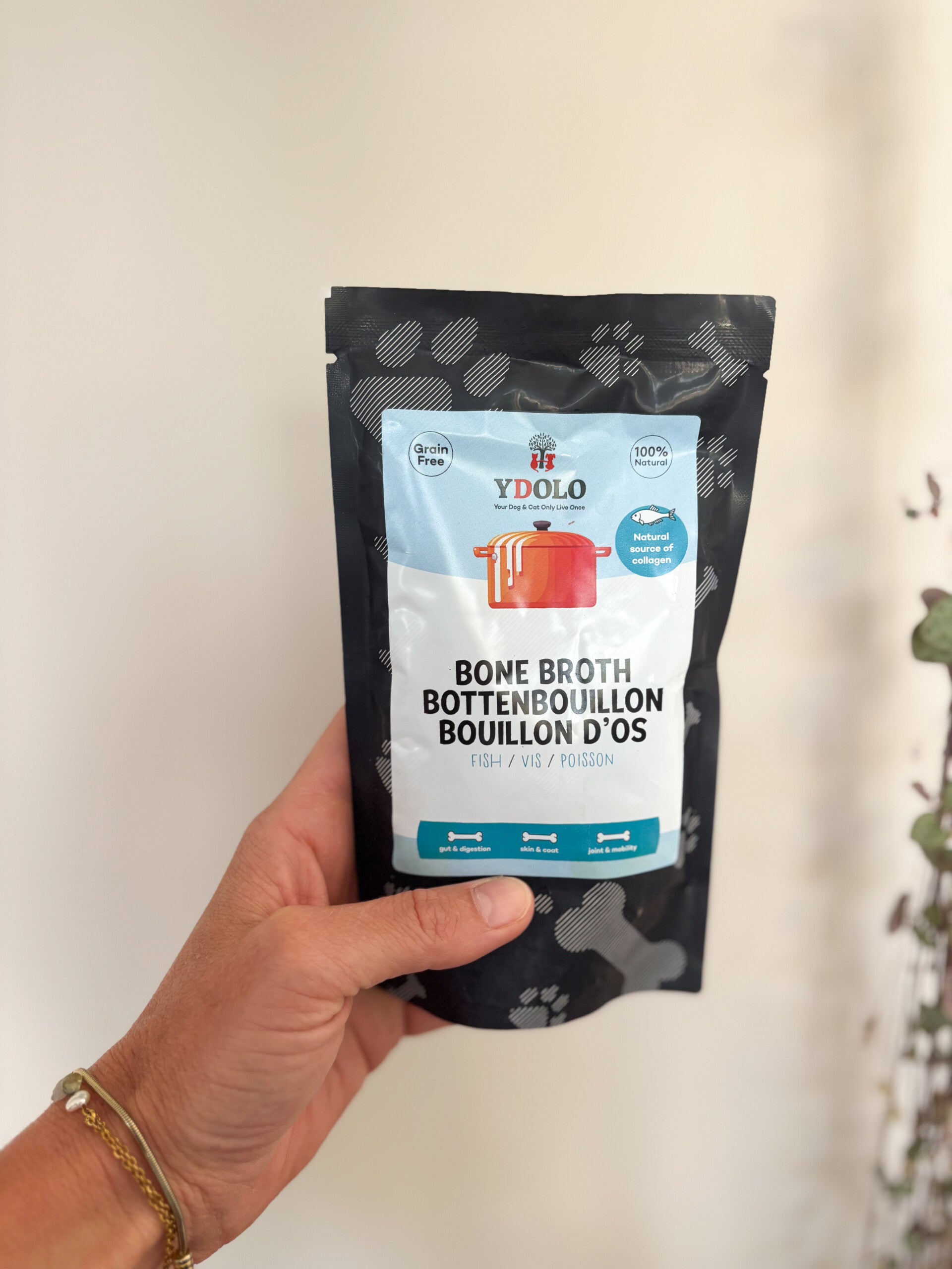 Ydolo | Bottenbouillon - vis