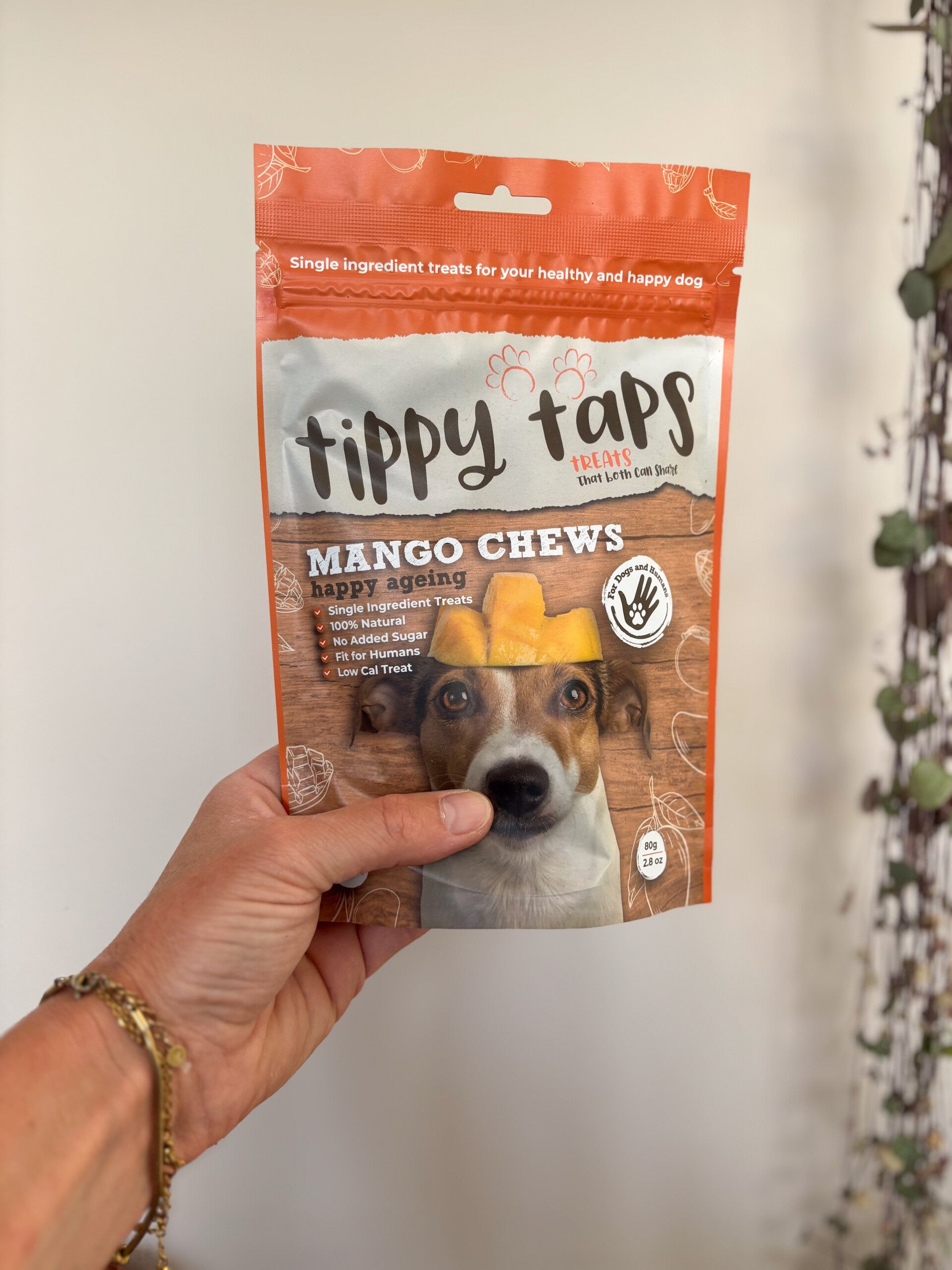 Tippy Taps treats | Mango Chews