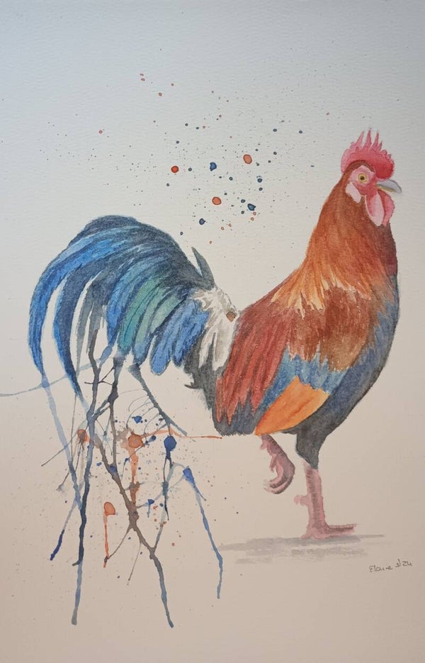 Rooster