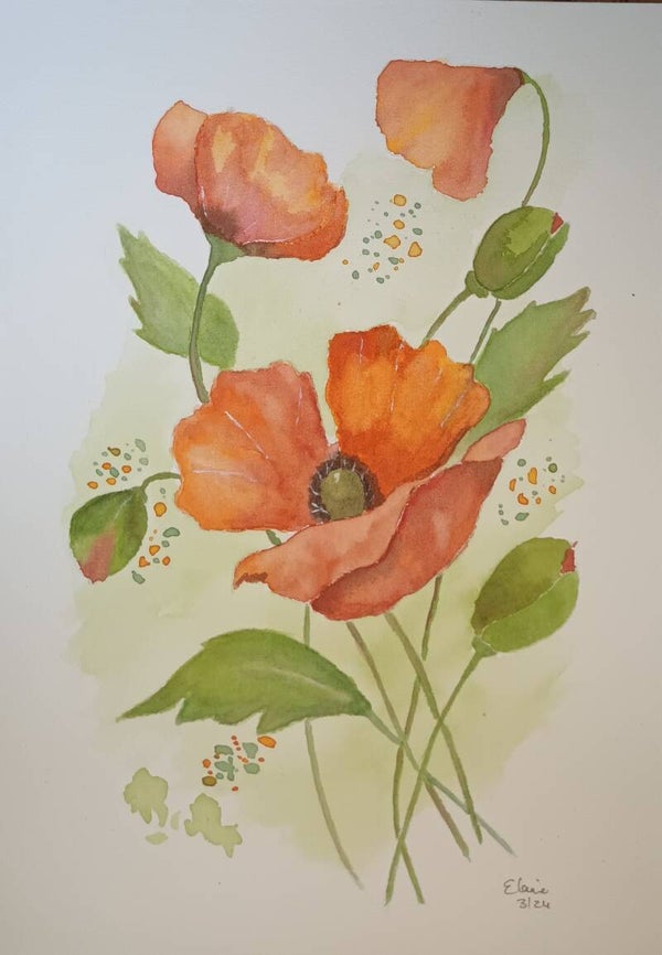 Poppies