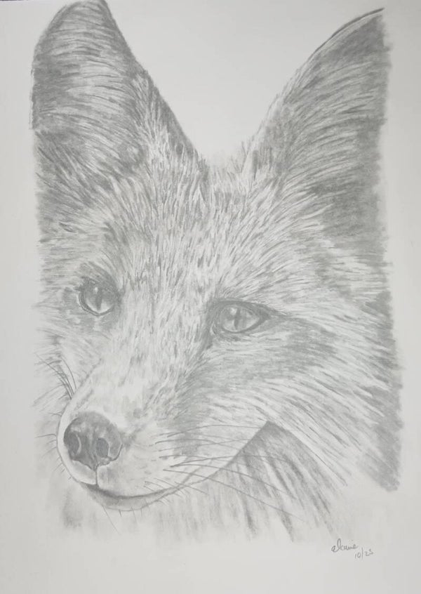 The Fox