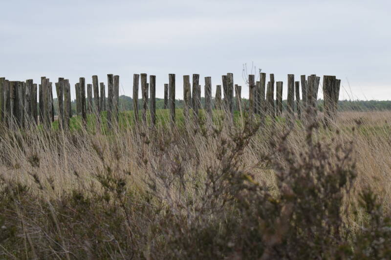 De prachtige Regte Heide 