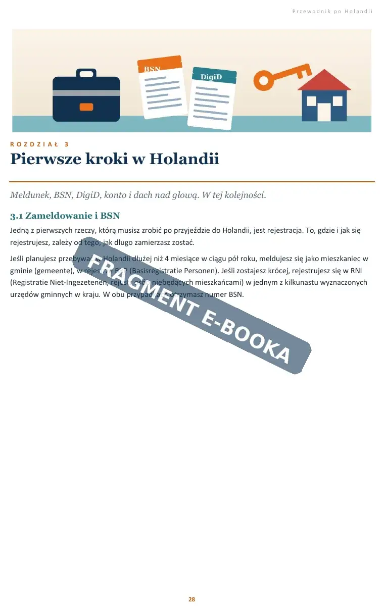 preview-2-standard.webp