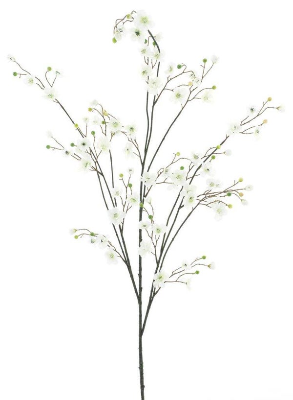 Blossom white.