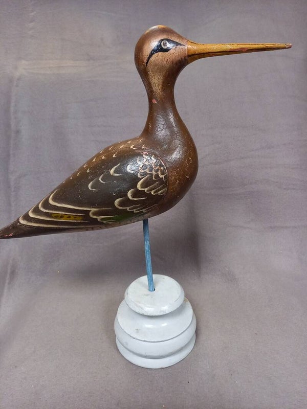 Grutto (vogel) op voet