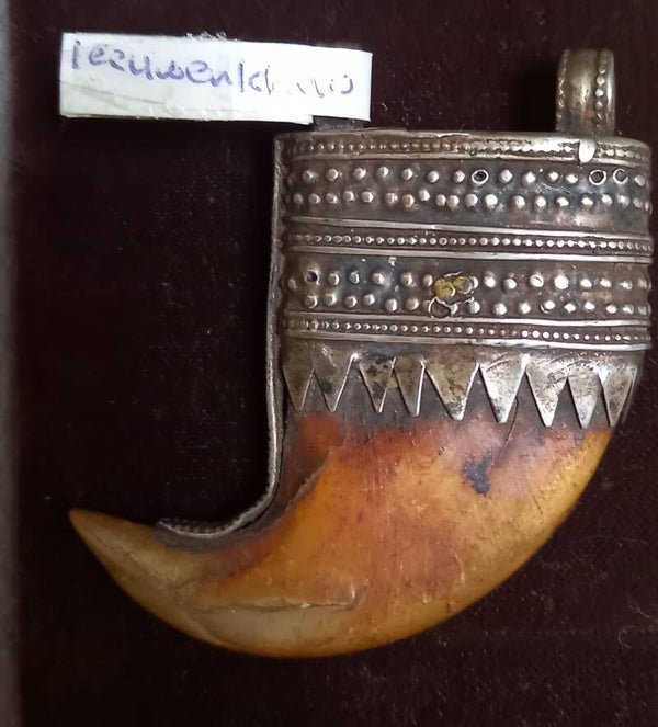 Grote leeuwenklauw in zilver gevat