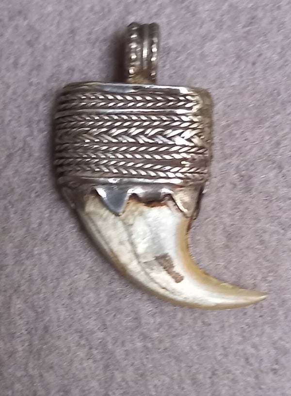 Oude cheeta nagel in zilver