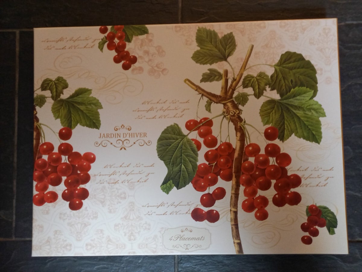 Harde placemats / Placemats galerie Regenboog