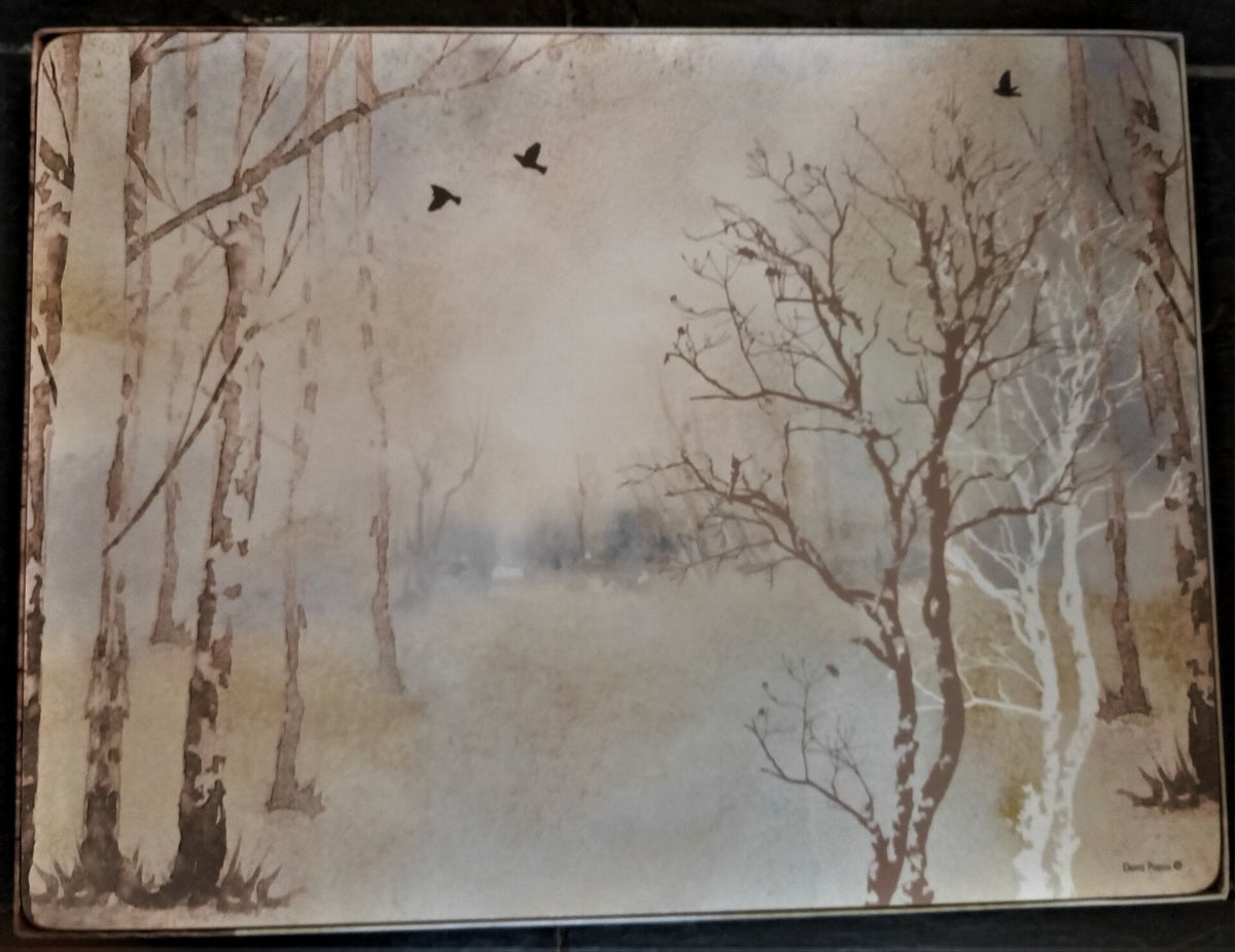 Harde placemat set landschap in grijstinten galerie Regenboog
