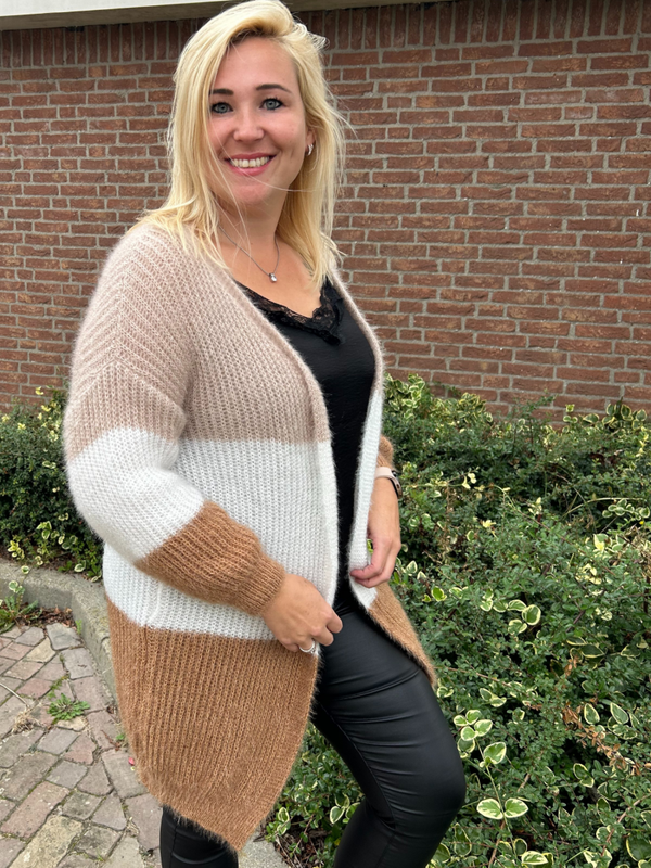 Tricolor vest - Beige Camel