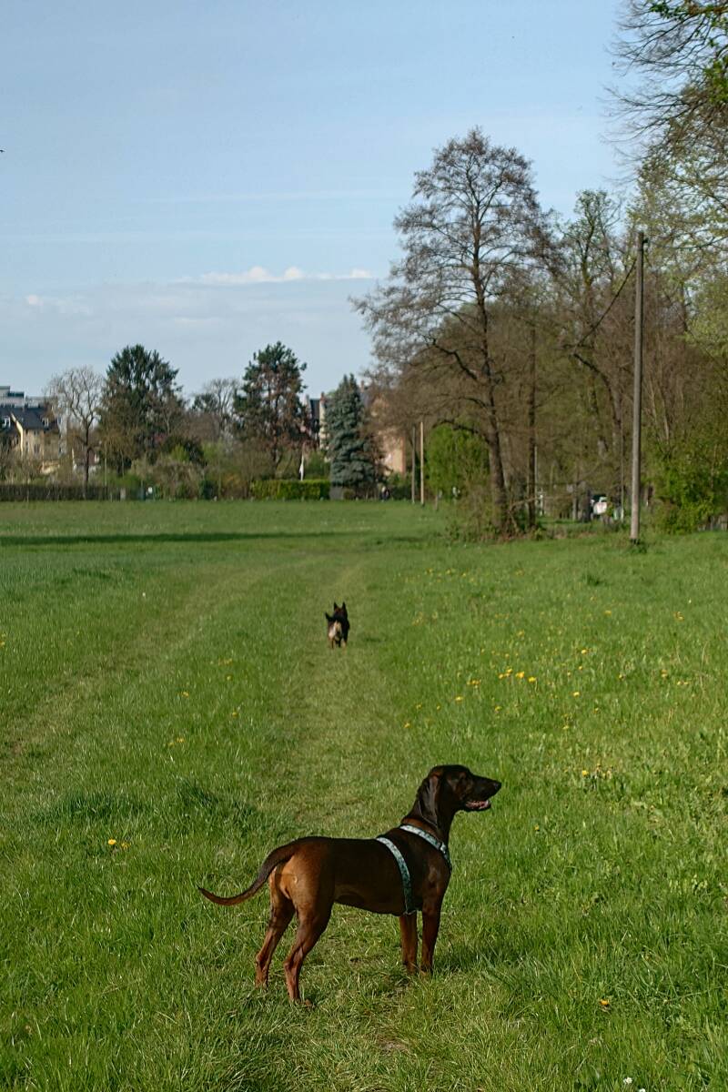 20260411_172624-standard-xe1j7m.jpg