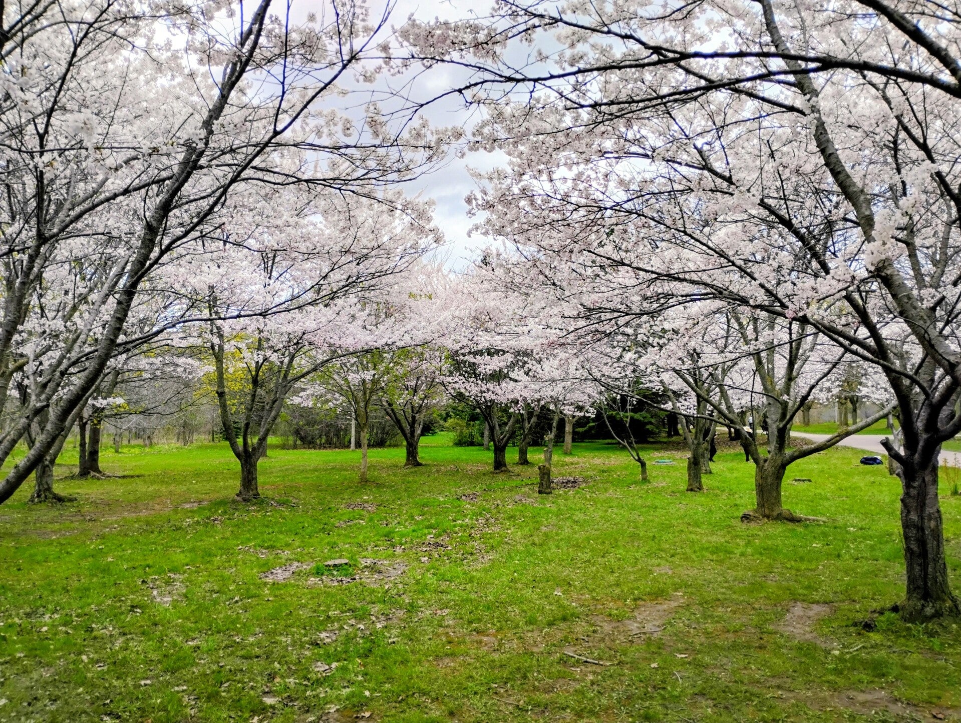 img_20260430_141910890_hdr-3-standard.jpg