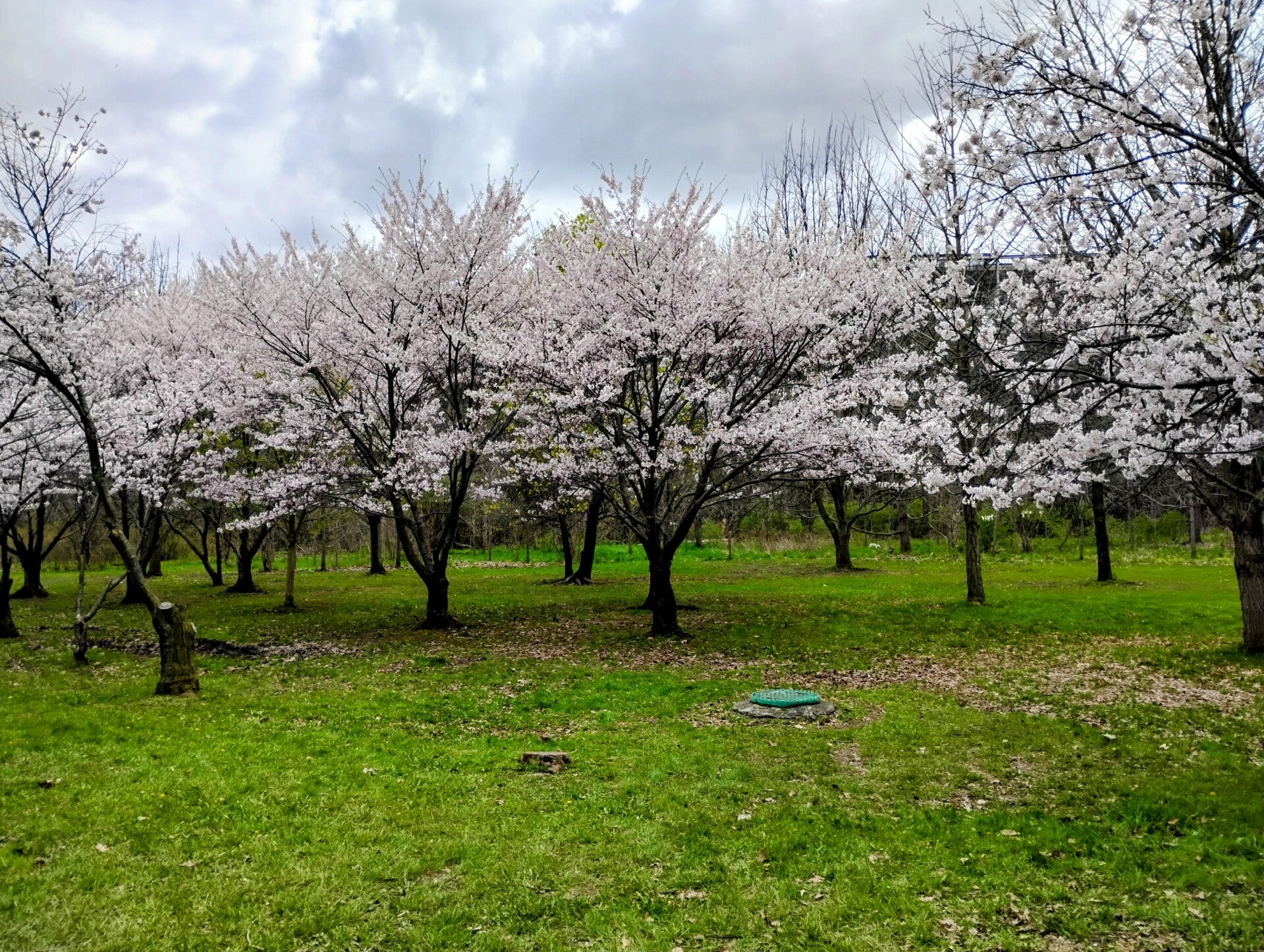 img_20260430_142026591_hdr-2-standard.jpg