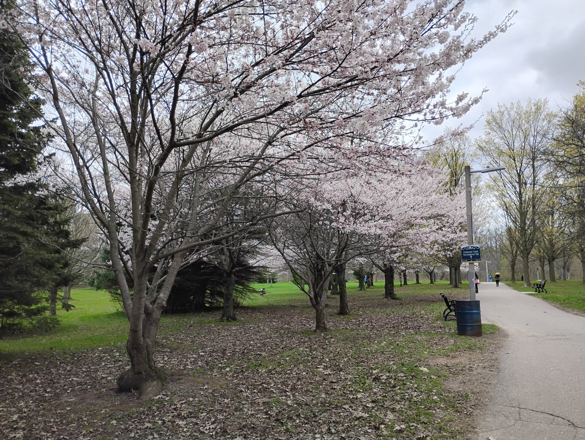 img_20260430_142046486_hdr-standard.jpg