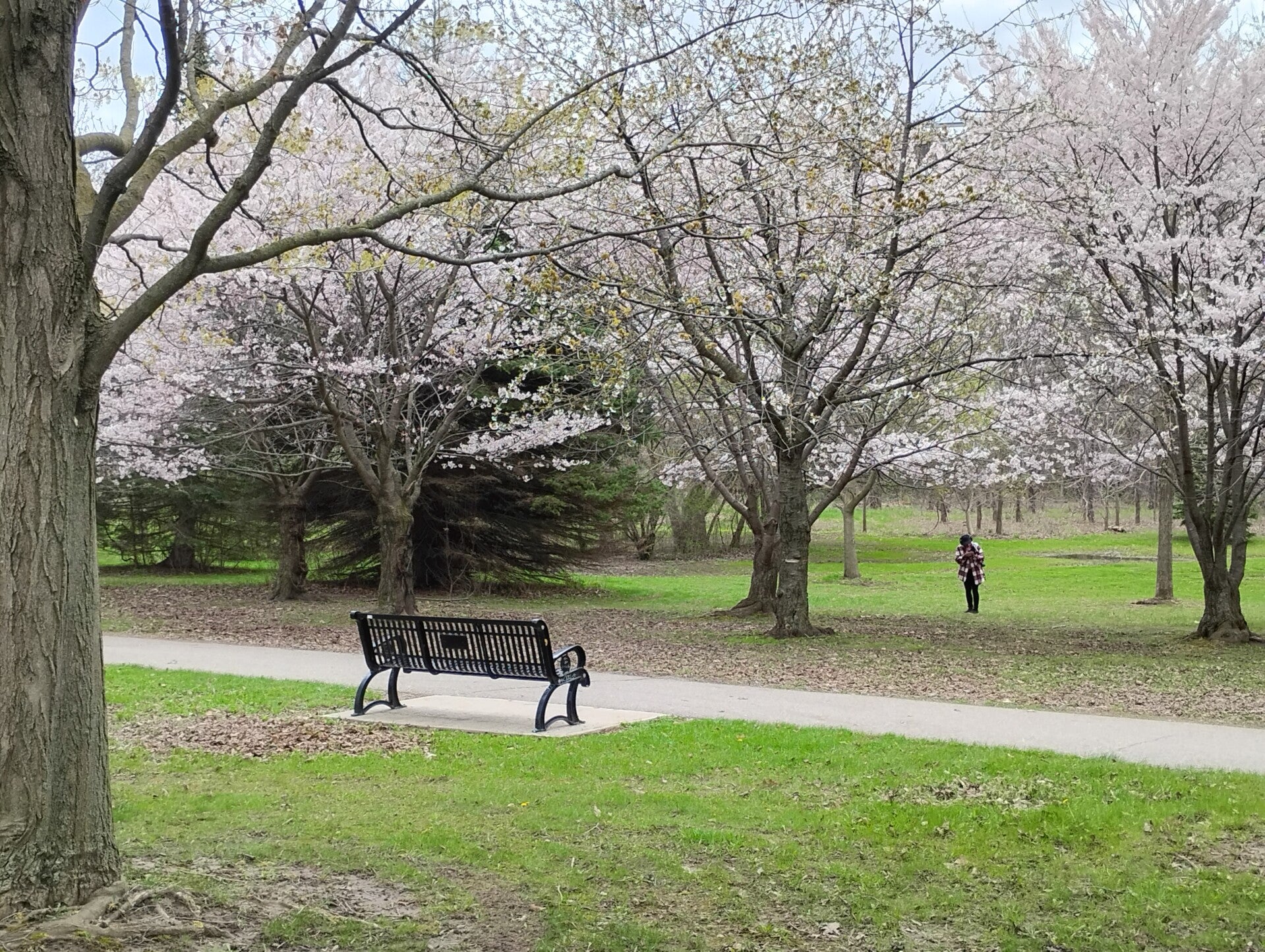img_20260430_142408644_hdr-standard.jpg