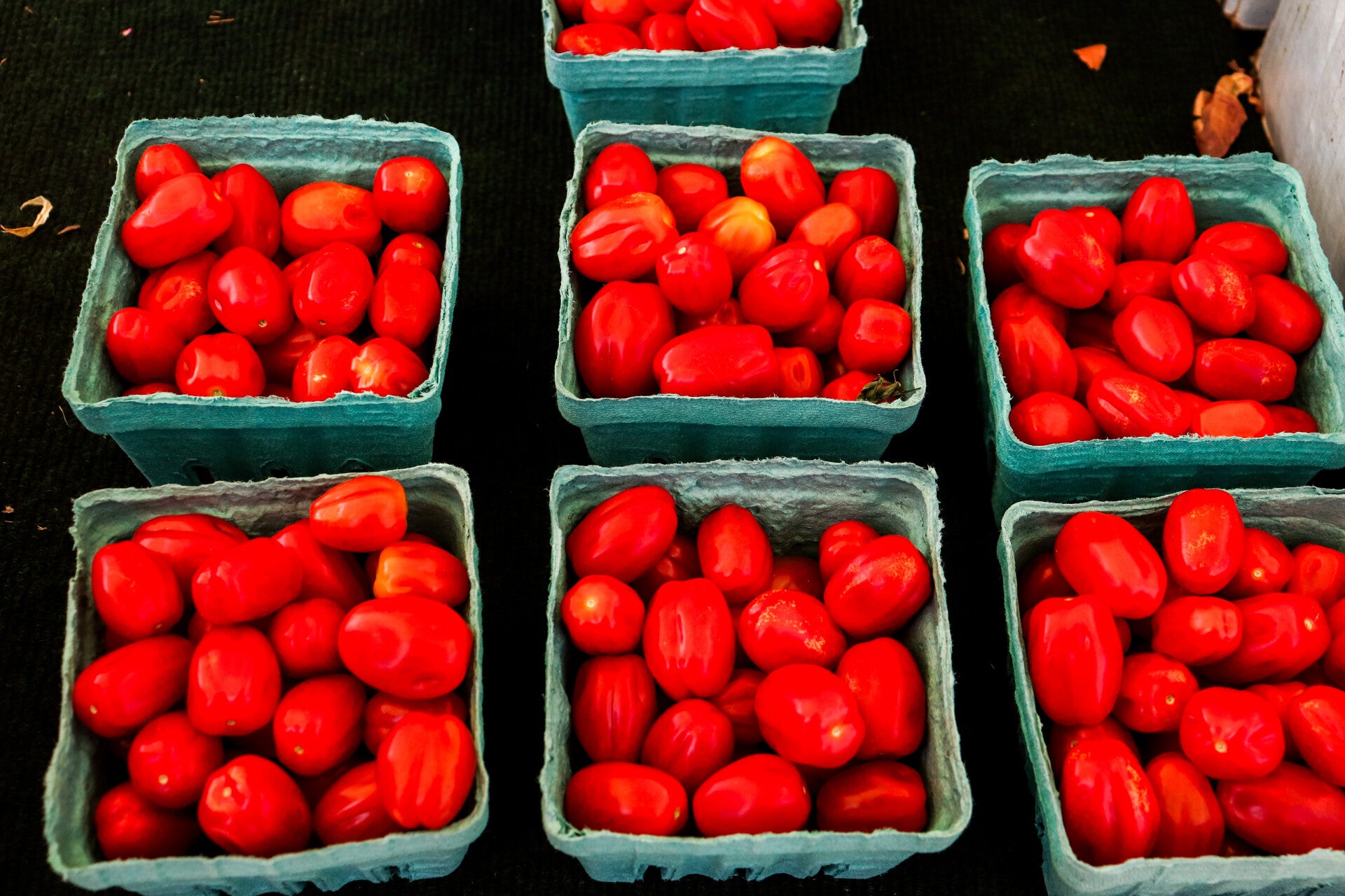 p4-doug-dianne-mcphail-cherry-tomatoes-standard.jpg