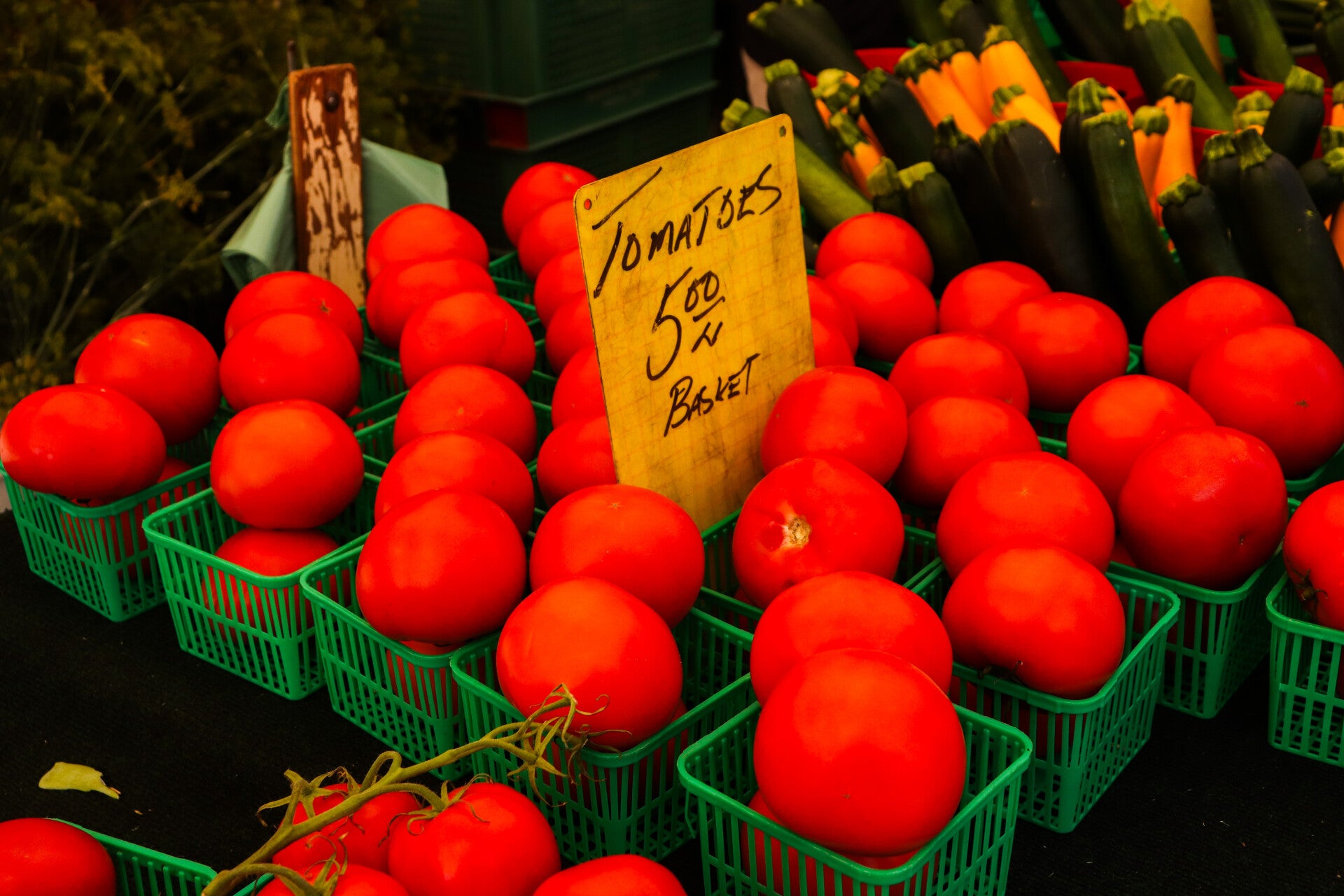 p4-doug-dianne-mcphail-tomatoes-standard.jpg