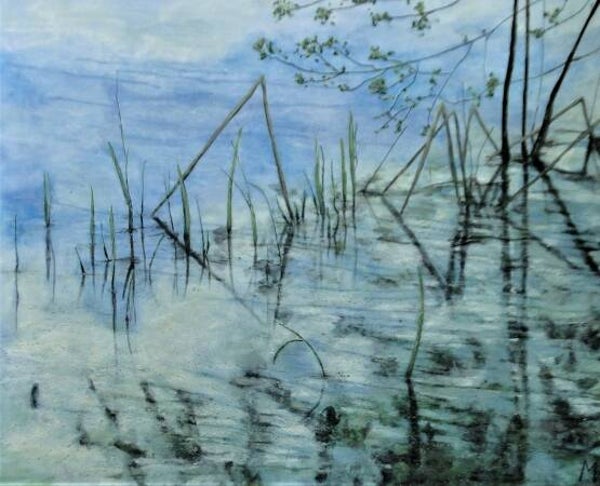 opkomend riet 120x 100cm