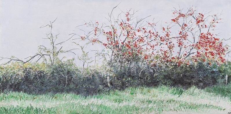 Wilde appeltjes 60 x 30 cm                                                                                                                                                    