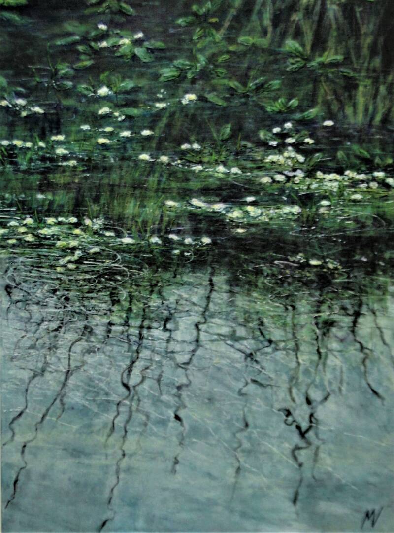 Witte waterplantjes 80x60 cm 