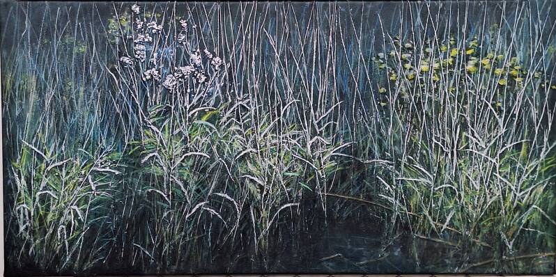 zon-op-het-riet-standard-gzufws.jpg
