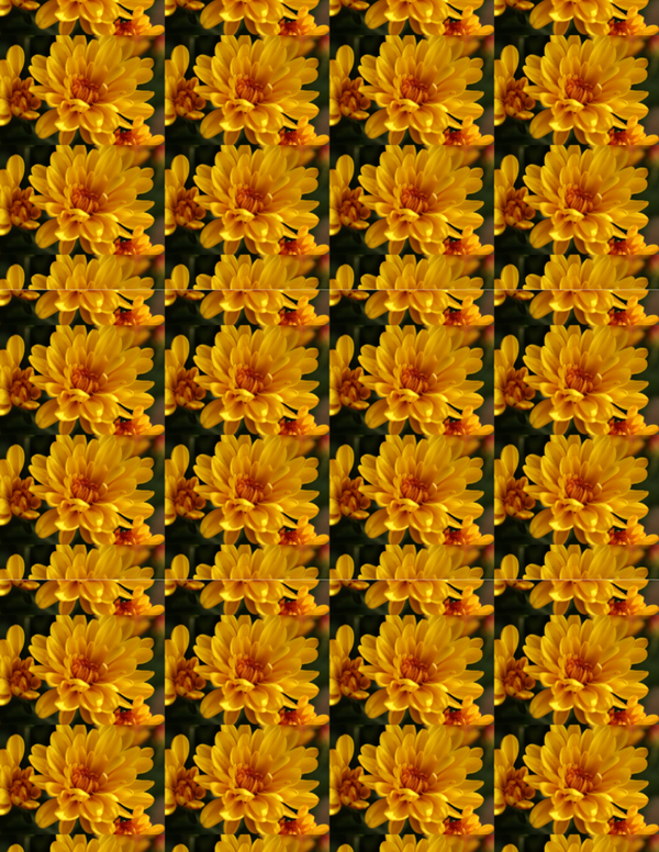 Mum Scrapbook Photo Pattern