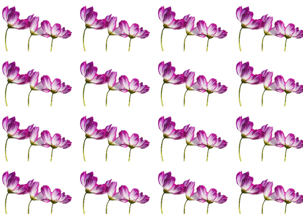 Pink Scrapbook Wallpaper