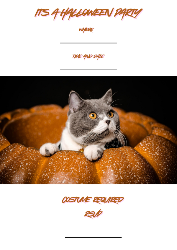Halloween Party - Holiday Kitten Wins the treats