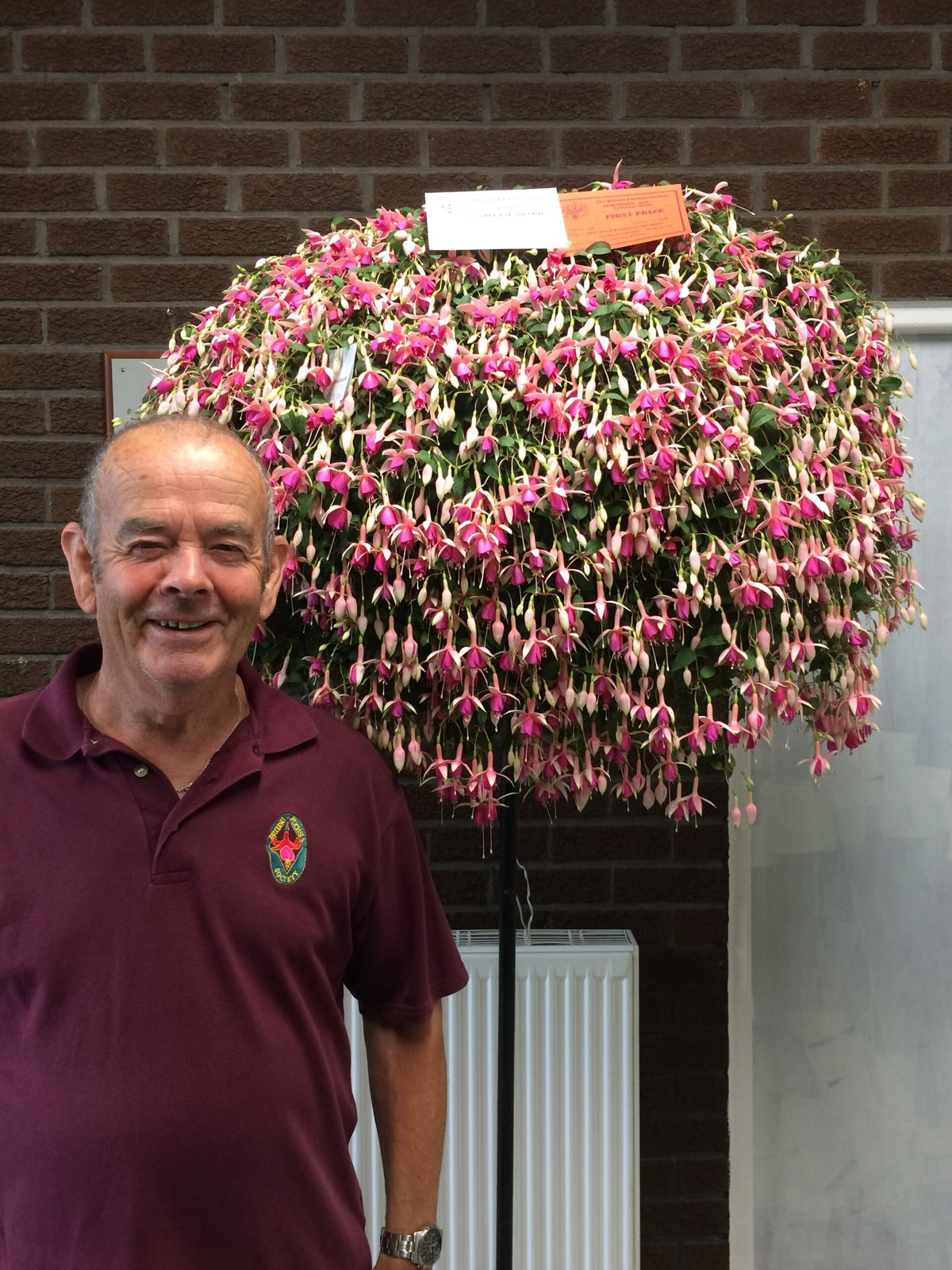 News | Northampton & District Fuchsia Society