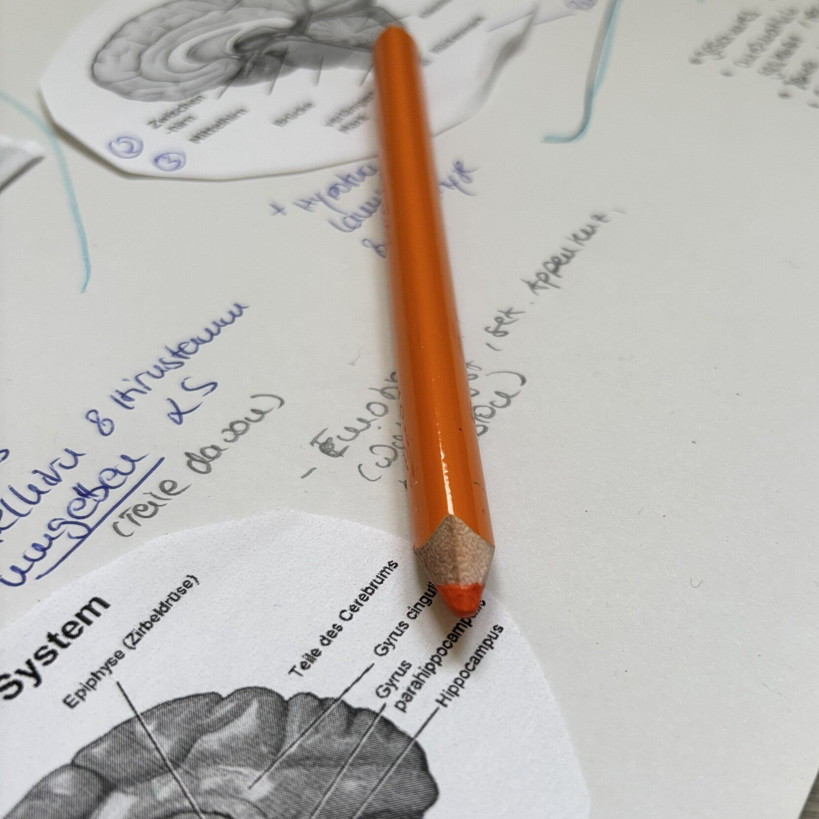 Psychische Belastung am Arbeitsplatz
