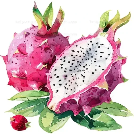 Fruit du dragon