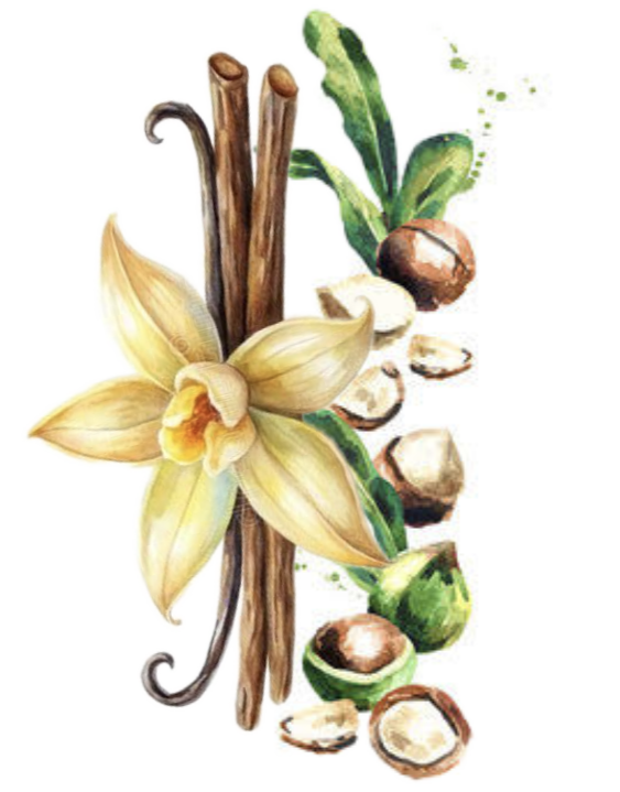 Vanille Macadamia