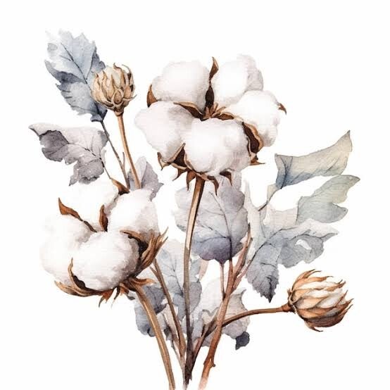 Rituals Coton Blossom