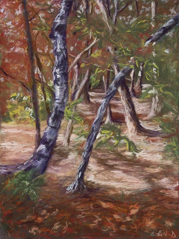 Through the Woods (Pastel)