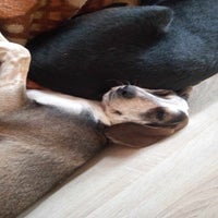 16-standard-f016lq.jpg