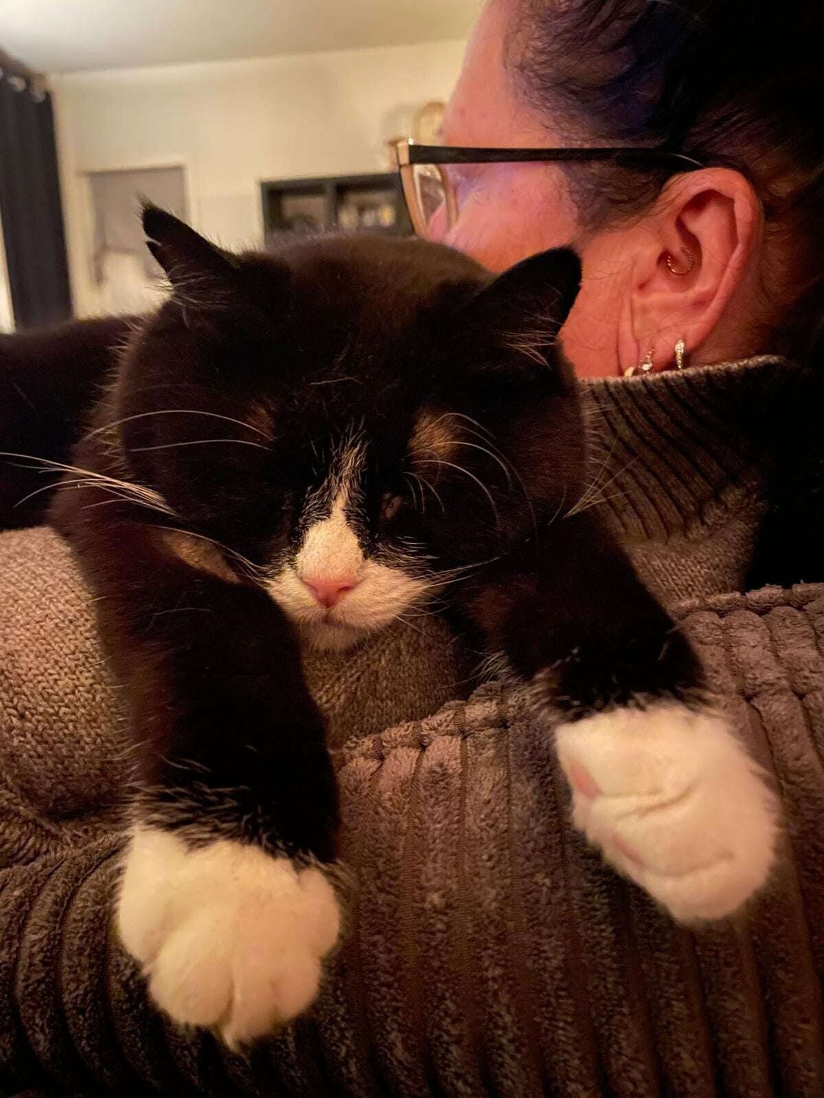 Adoptiekat Tommy