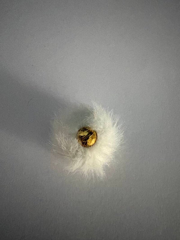 witte pom-pom 15 mm