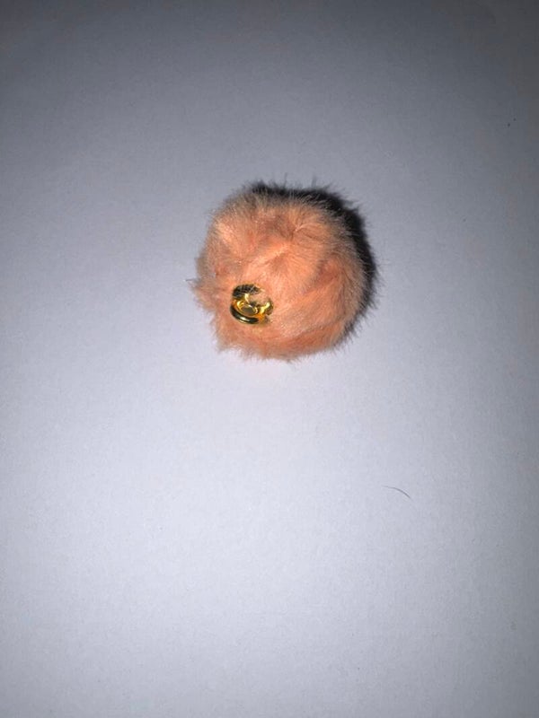 grote pompon