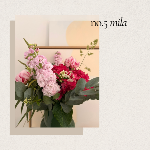 No.5 Mila