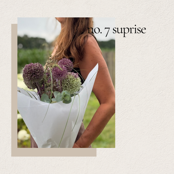 No. 7 Suprise