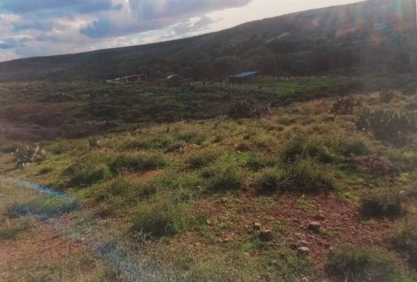 Se vende terreno en la comunidad de Panuco, Zacatecas.