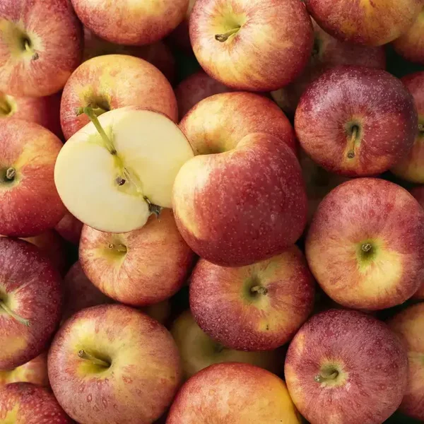 Pomme gala (500g)