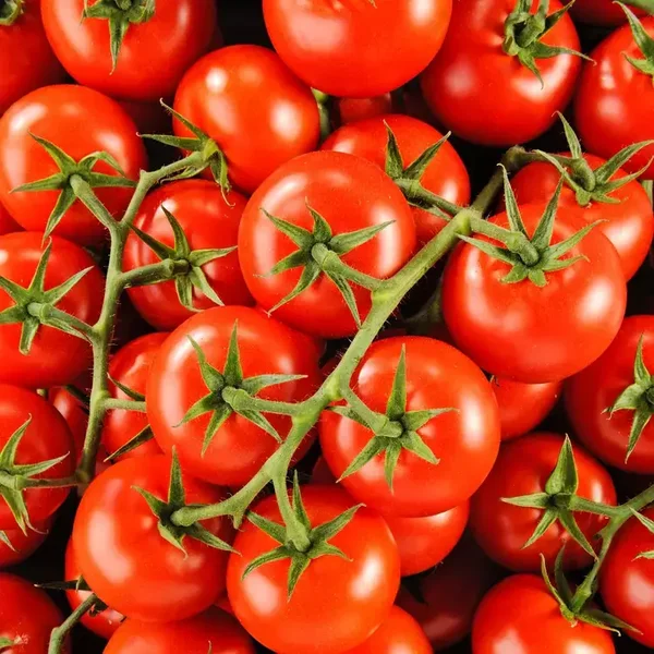 Tomate en grappe (500g)