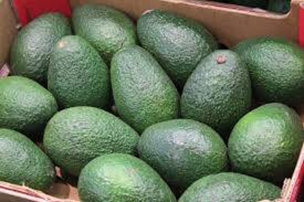 Avocat (a la pièce)