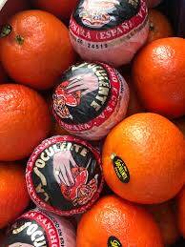 clémentine soculente