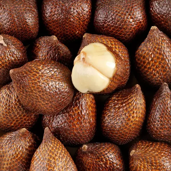 Fruit du serpent / Salak