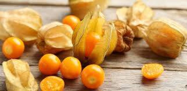 Physalis (barquette 350g)