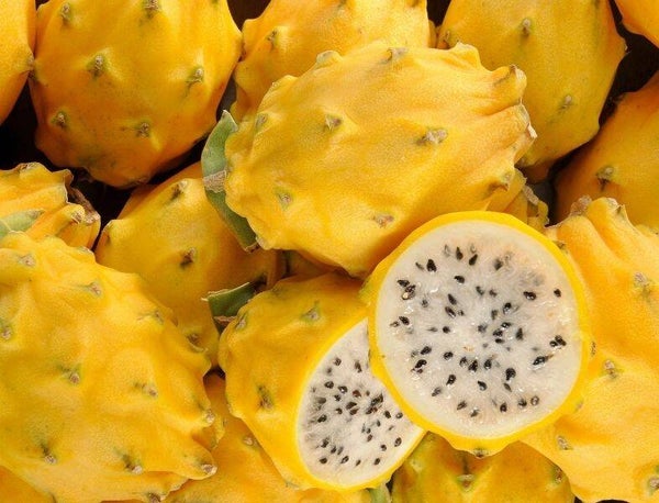 Pitahaya.
